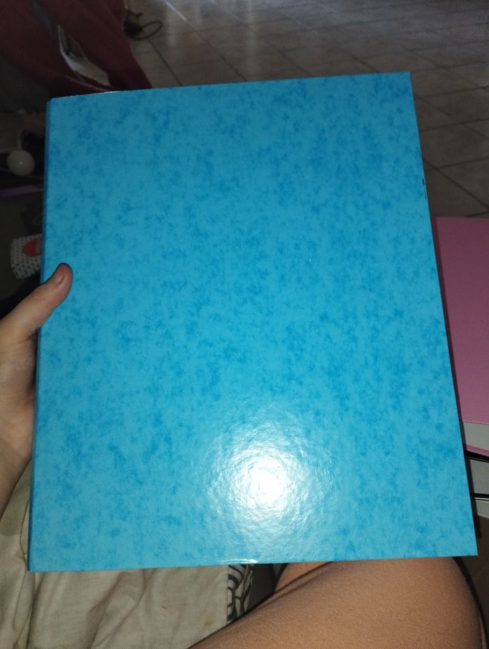 Grand classeur - photo numéro 3