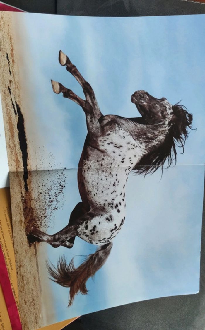 Livre posters mes plus belles histoires de chevaux - photo numéro 5