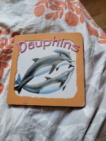 Dauphins