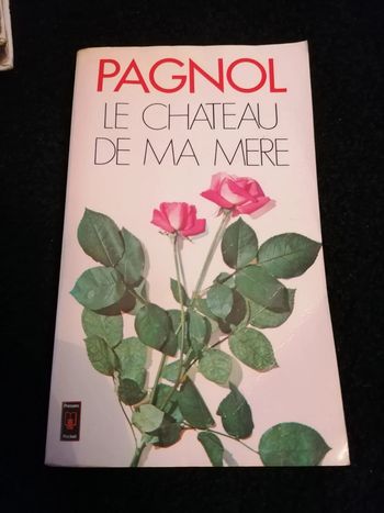 Livre le château de ma mère