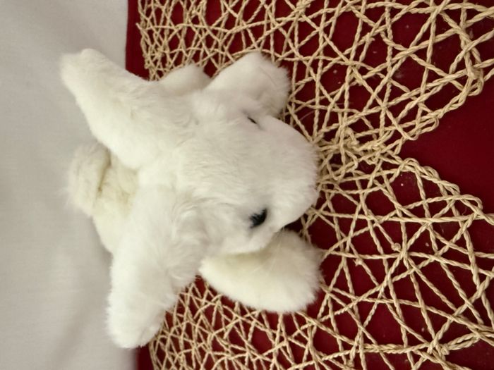 DOUDOU PELUCHE GIPSY LAPIN blanc nez rose allongé sur le ventre 20cm