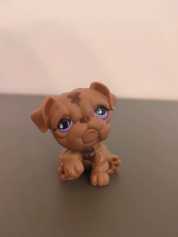 figurine pet shop chien