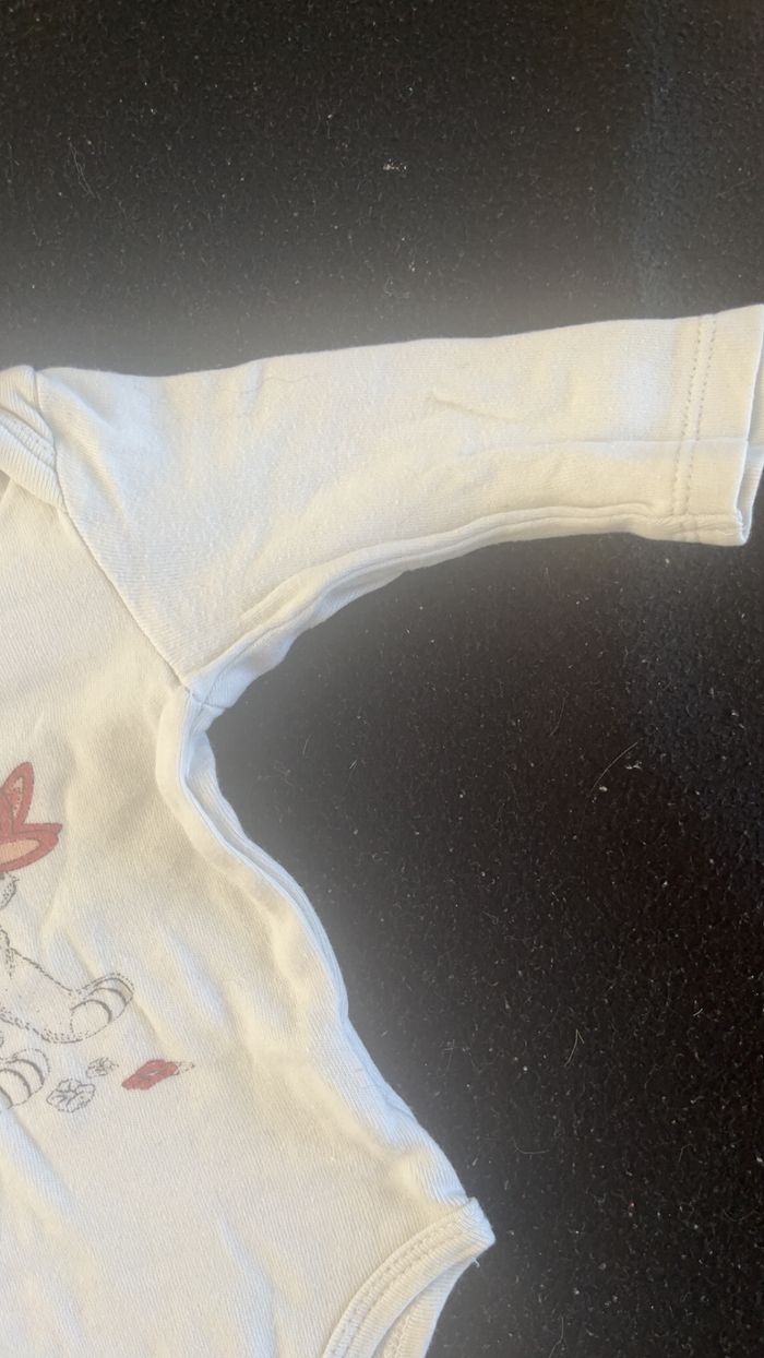 Bodie 3 mois - photo numéro 2