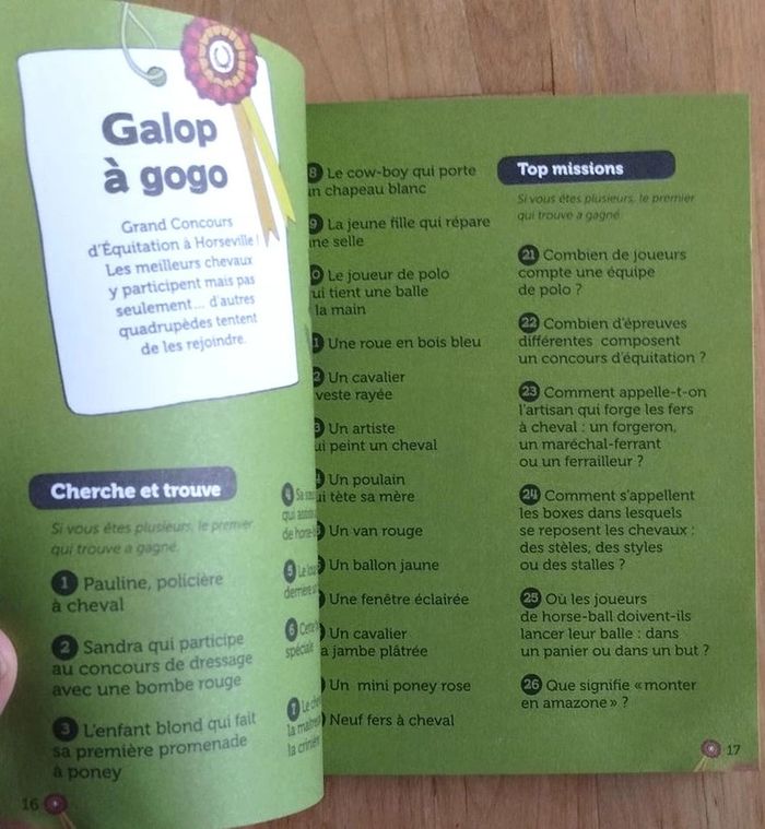 Livre Sports en pagaille cherche et trouve - photo numéro 6