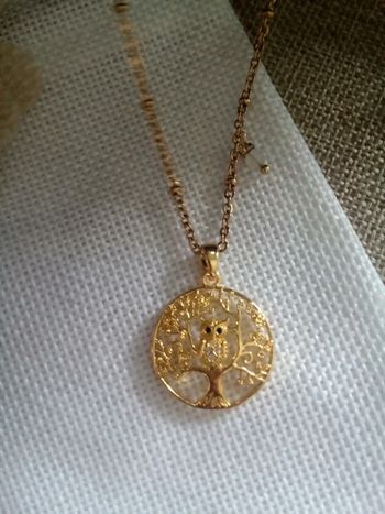 Collier médaillon hibou et pierre de lune naturelle