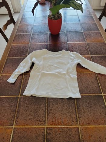 Tee shirt Uni manches longues