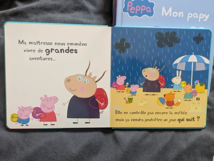 Lot de 10 livres Peppa TBE - photo numéro 5