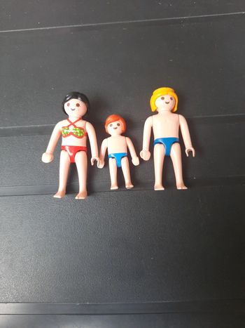 Famille playmobil