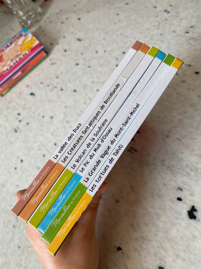 Lot 6 livres Merveilles de France - photo numéro 4