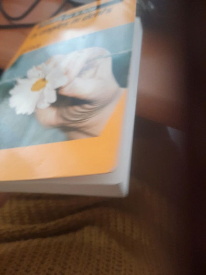 Déculottée gil lacq - photo numéro 4