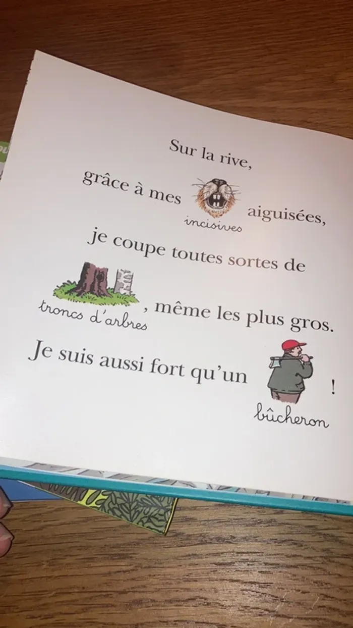 La journée du petit castor - photo numéro 2