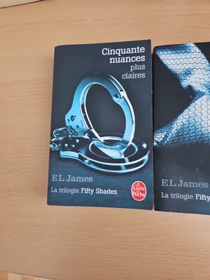 Cinquante nuances de grey - photo numéro 2
