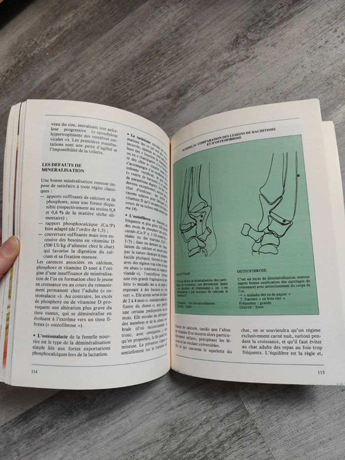 Dietetichat 🐱 - photo numéro 3