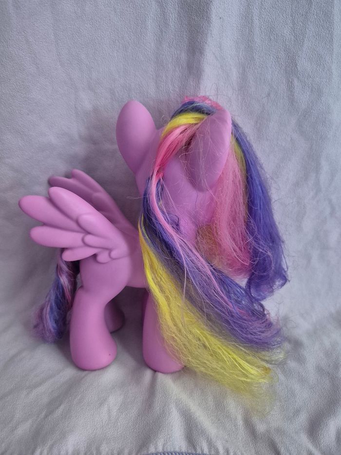 Petit poney - photo numéro 3
