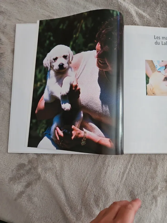 Encyclopédie du Labrador aniwa - photo numéro 4