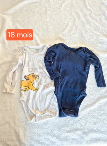 Lot 2 bodies 18 mois