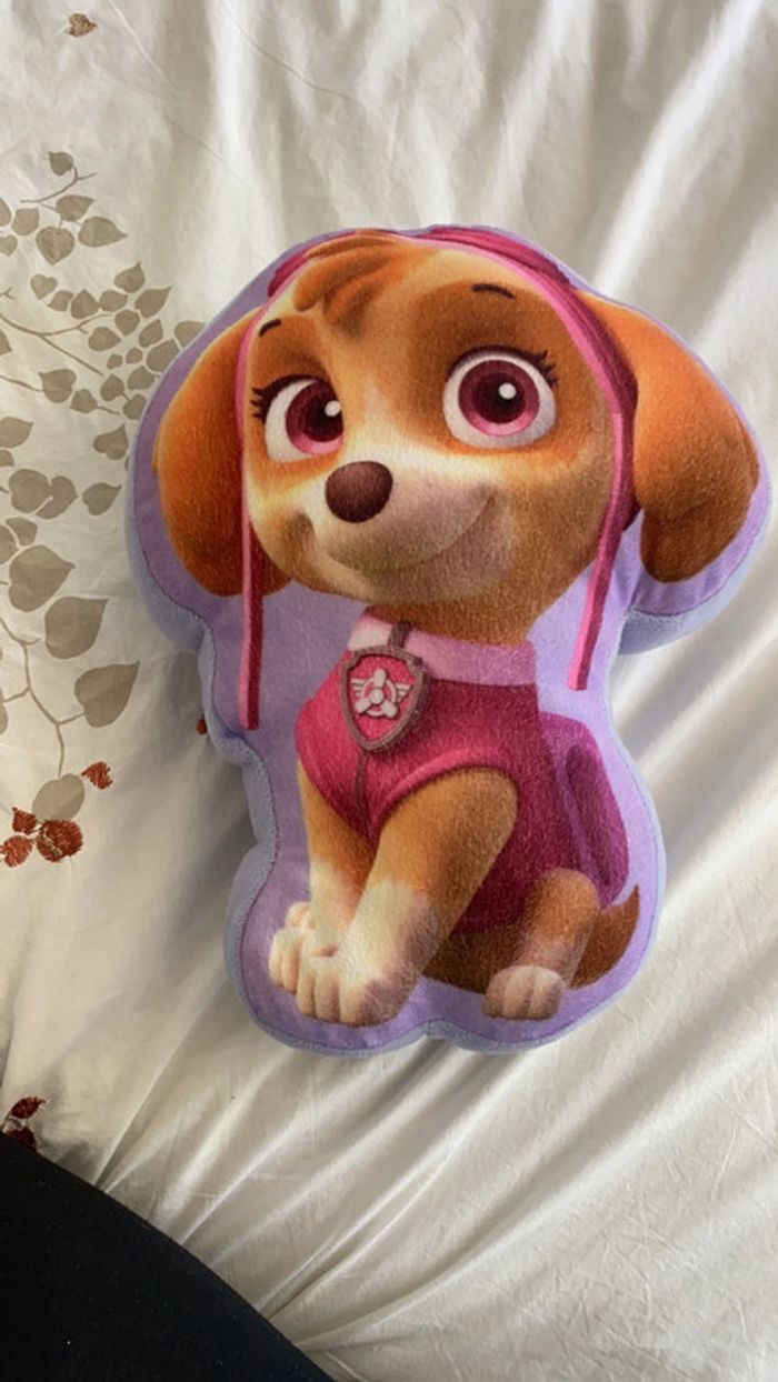 Coussin pat patrouille