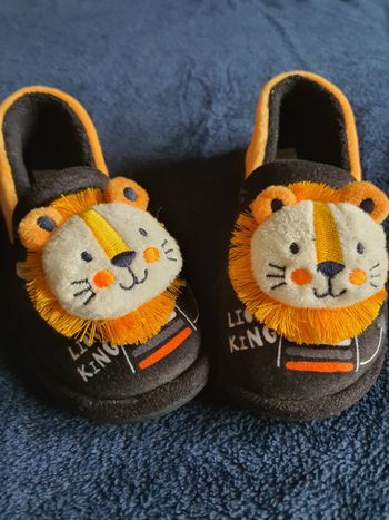 Chaussons Tams lion T29 jamais portés
