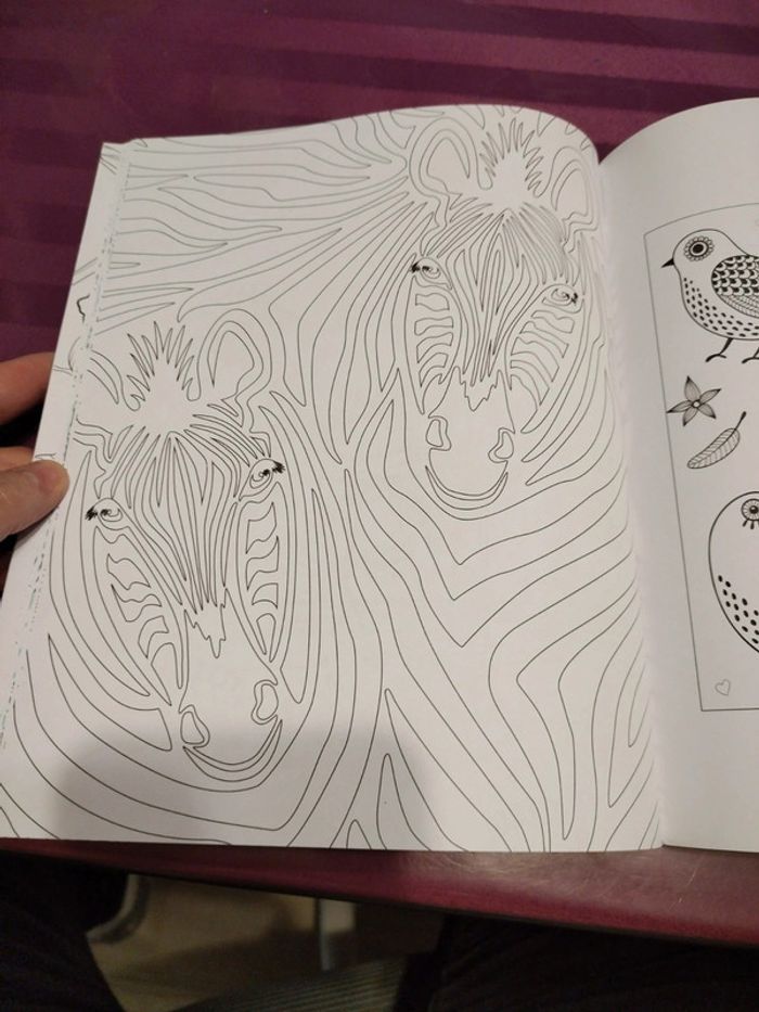 Carnet créatif 100 coloriage - photo numéro 12