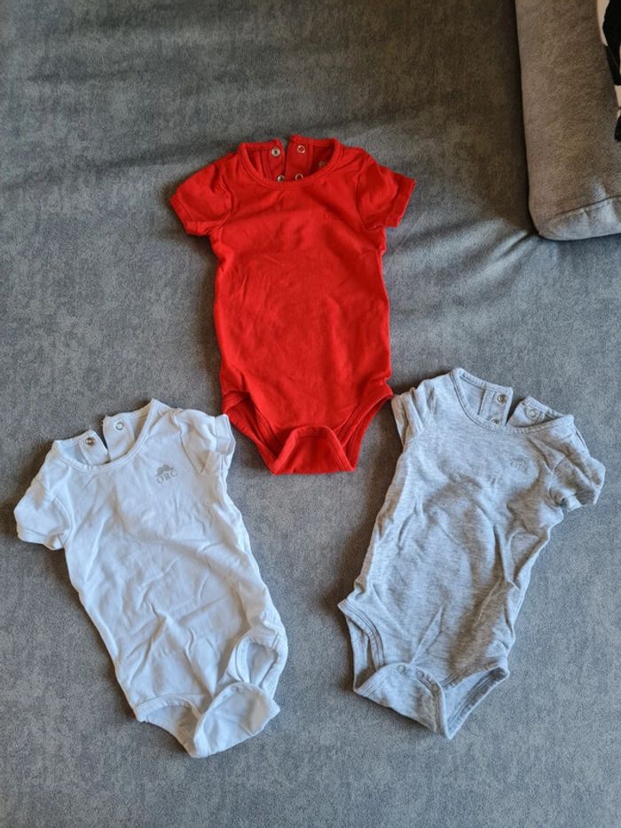 Lot de 3 bodies manches courte 6 mois