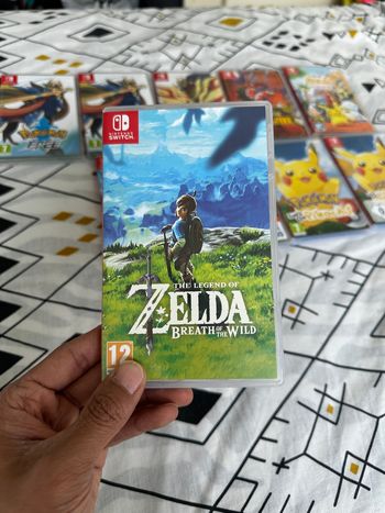 Zelda breath of the wild