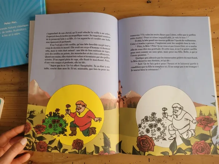 Lot de 5 livres Disney - photo numéro 7