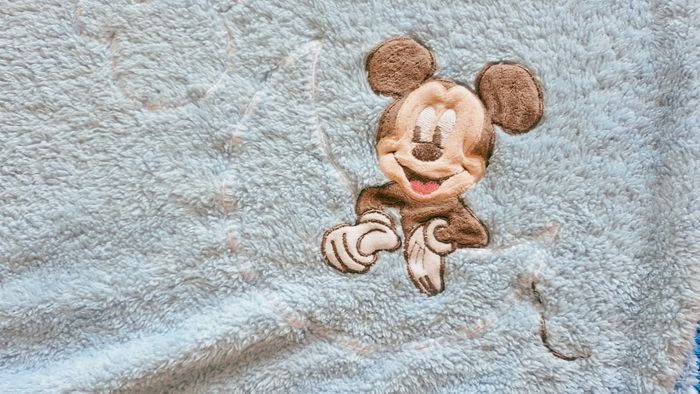 Plaid mickey - photo numéro 2