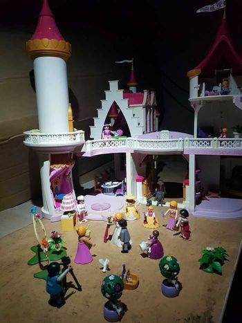 Château princesse playmobil