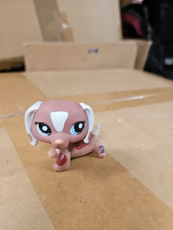 Littlest pet shop 1631 teckel