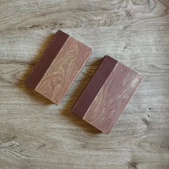 📚 Lot de 2 livres Tome 1 & 2 Germinal Émile Zola #emyfleury_livres