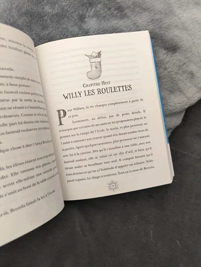 Livre le noëlosaure - photo numéro 3