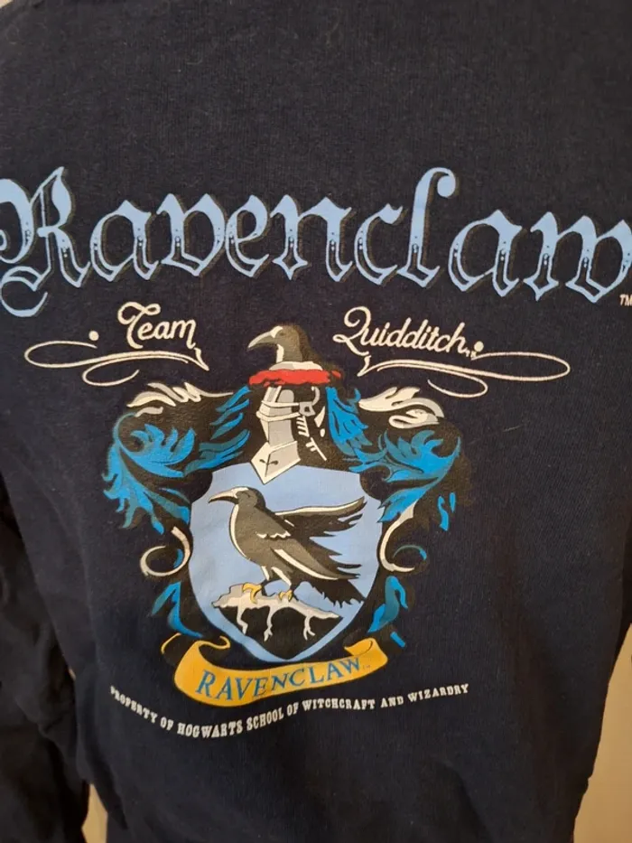 Sweat-shirt Harry Potter Serdaigle 14/16 ans - photo numéro 4