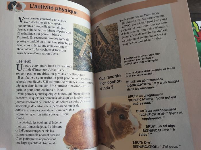 Livre des animaux - photo numéro 2