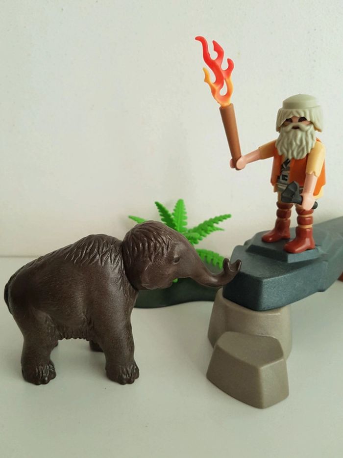 Chasseur préhistorique, mammouth, dent de sabre Playmobil history - photo numéro 7