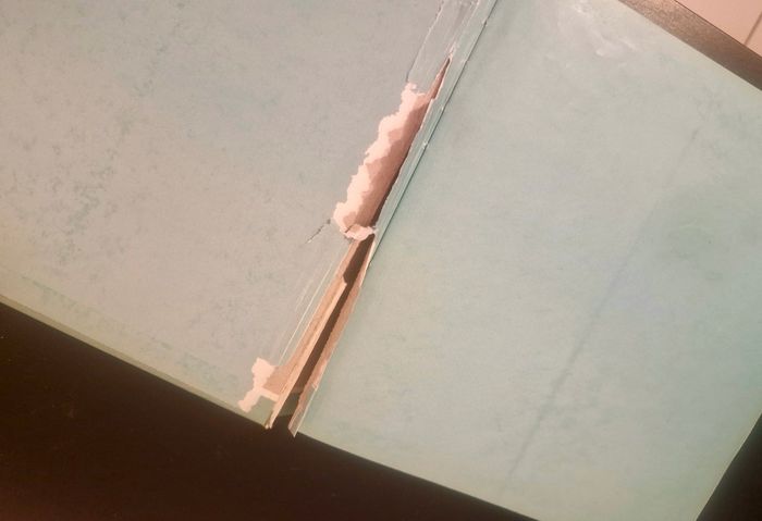 Livre - Au royaume des animaux- Disney - photo numéro 5