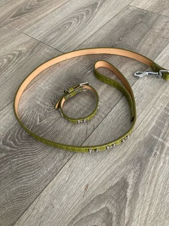 Ensemble collier et laisse pour chien