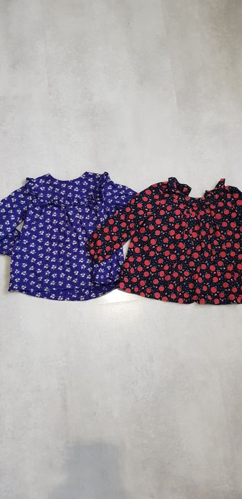 Lot 2 blouses du pareil au même 18 mois