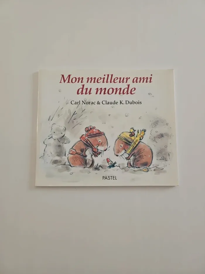 Mon meilleur ami du monde