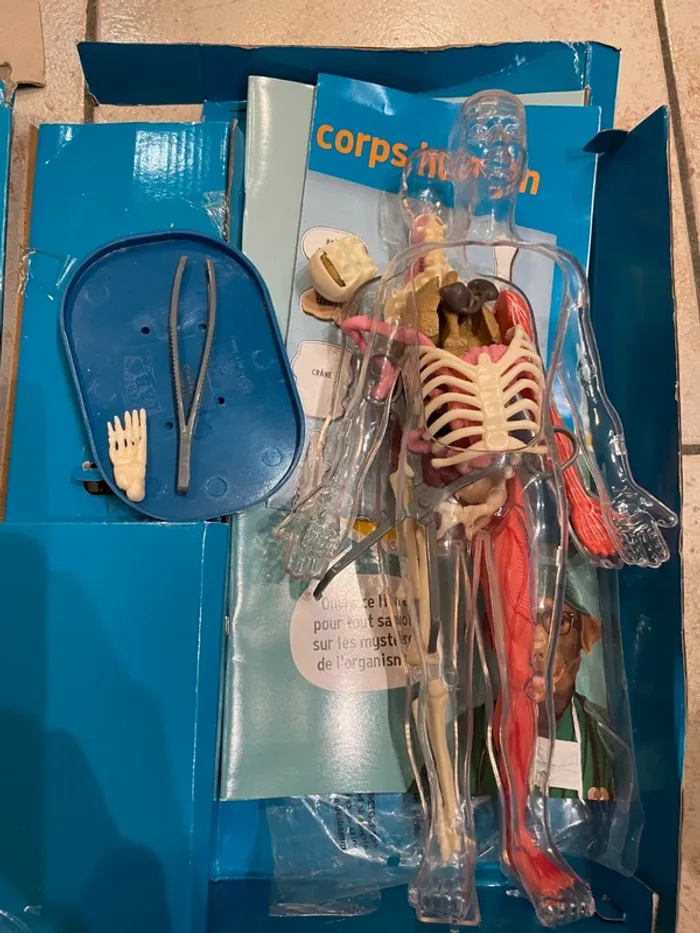 Jeu explore le corps humain - photo numéro 3