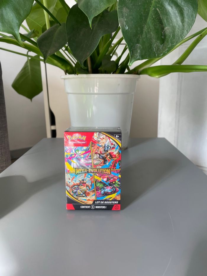 Bundle Pokémon mega evolution