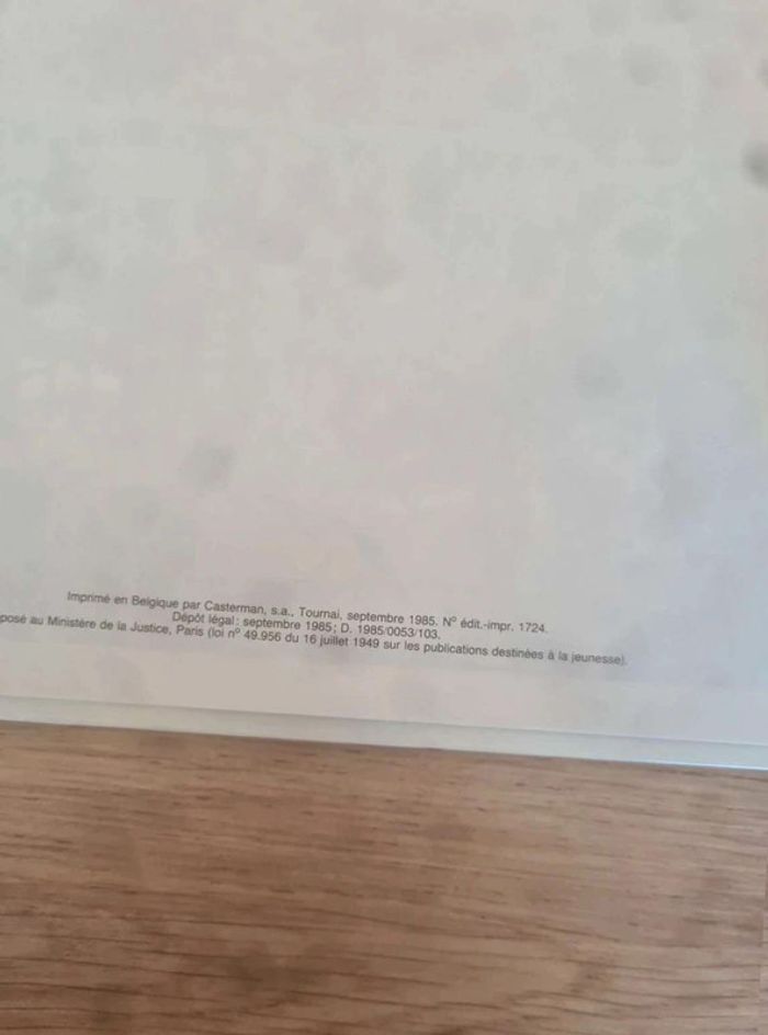 Lot bd Casterman - photo numéro 9