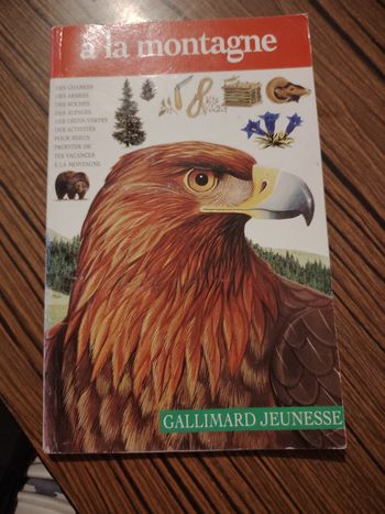 A la montagne