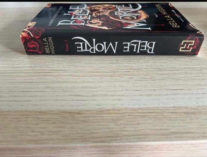Livre fantaisie romance - photo numéro 3