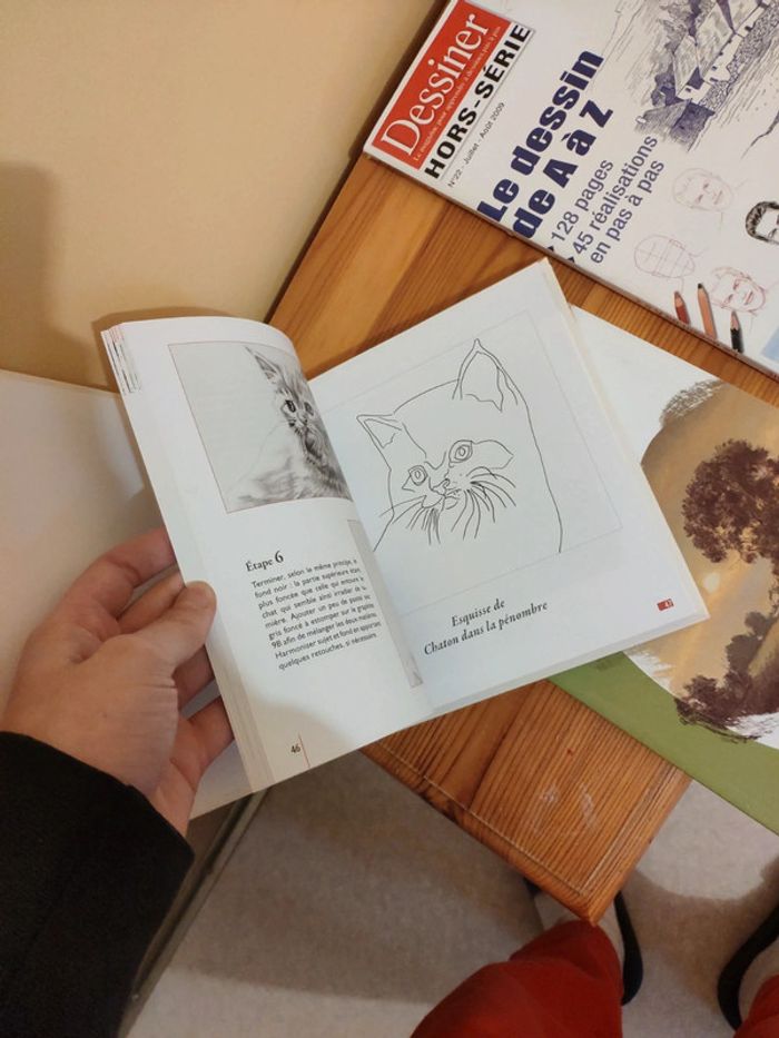 Lots de 3 livres de dessins - photo numéro 5