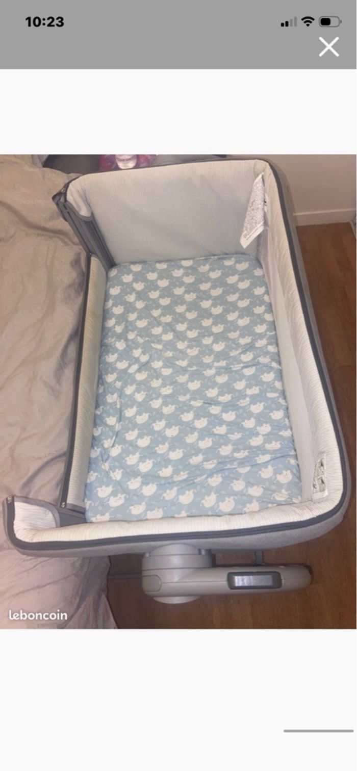 Cododo Chicco - photo numéro 3