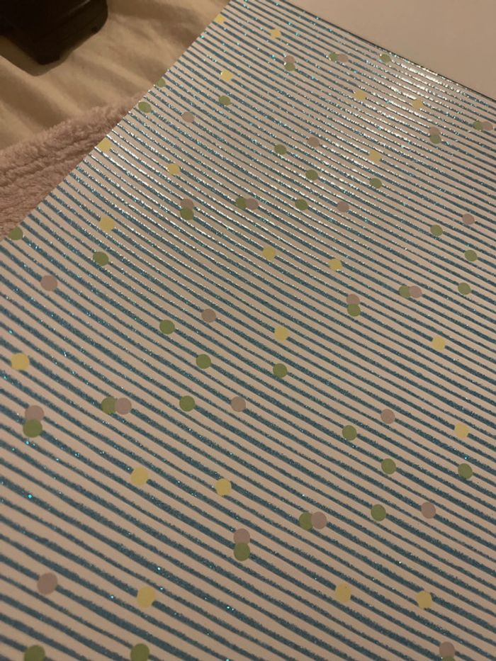 Carnet de paiers - photo numéro 13