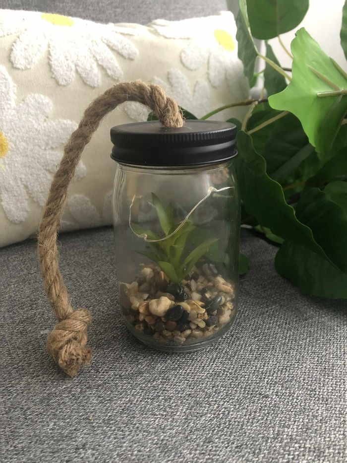 Bocal lumineux avec cactus - photo numéro 3