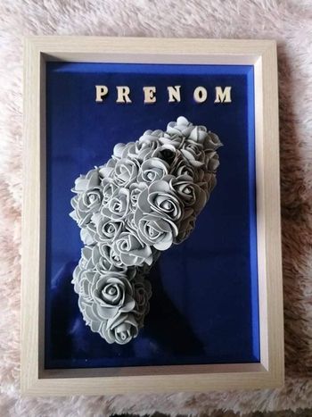 Cadre 3D Dauphin + prénom