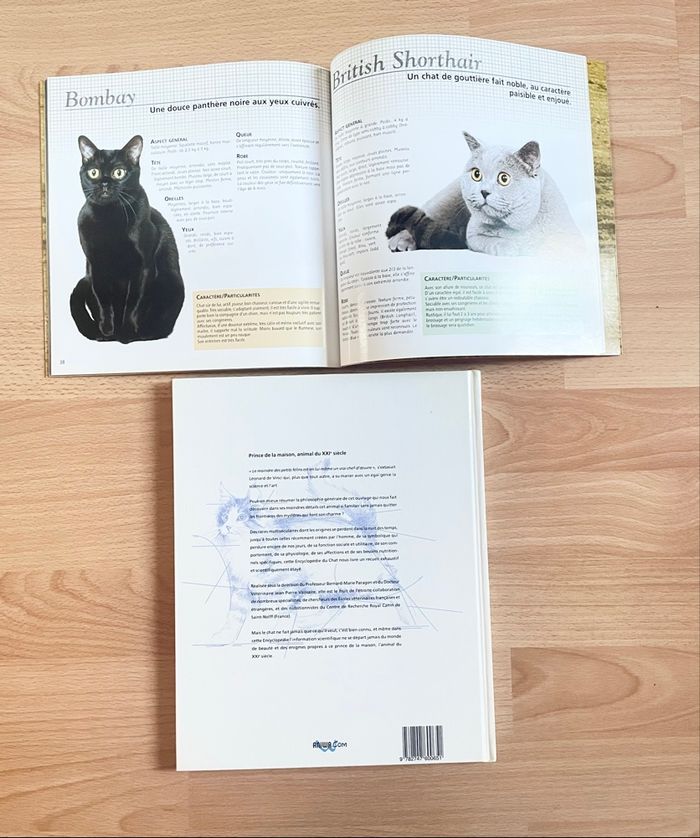 Lot livres chat - photo numéro 2