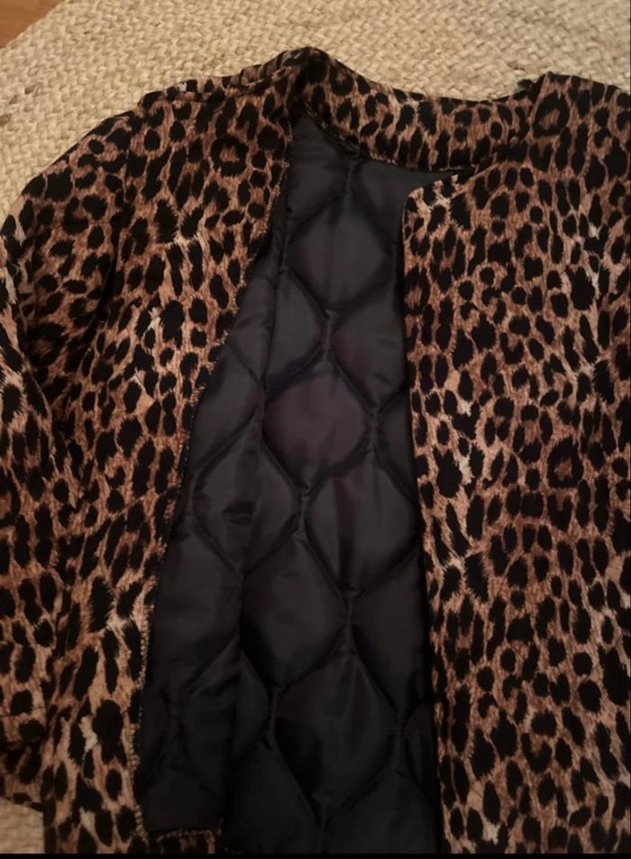 Veste - photo numéro 3